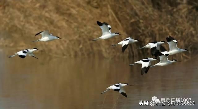 发泄情绪的图片:你心情不好的时候，怎么发泄的？怎么调节？