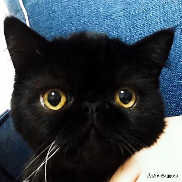 怎么告诉男生自己在等他？