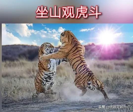 蔡明简介:蔡明今年多大了，结婚有孩子了吗？