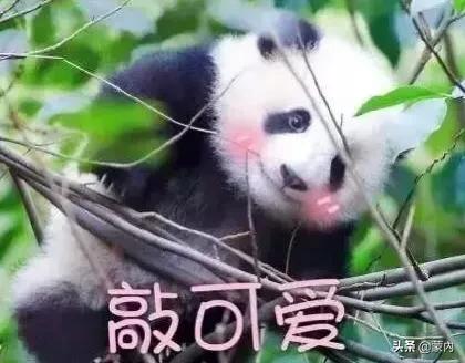 日本人会买中国的什么产品？