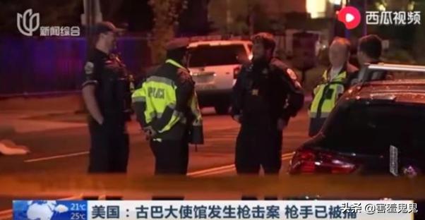 男子被牧羊犬袭击新闻:陕西一男子，纵容猛犬撕咬田园犬致死，还拍视频炫耀，你怎么看？