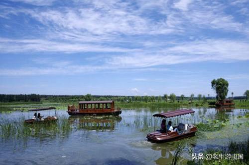 北大港湿地观鸟路线:天津周边一日自驾游有什么好地方吗？求推荐？