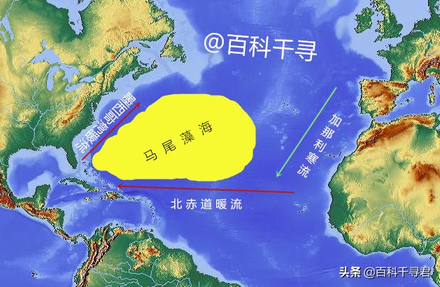失踪的飞机:为什么感觉现在百慕大魔鬼三角没有失踪的飞机船只了呢？