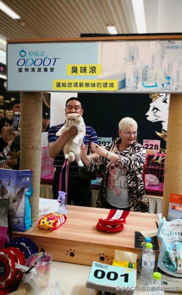 冀师傅天然猫粮怎么样:猫粮排行榜上口碑好的猫粮是哪个品牌？
