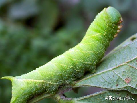 巢湖七中灵异事件:无锡和合肥比较哪个城市更适合定居？