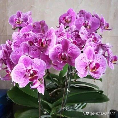 犯人出狱第一句话应该跟他说什么,第一件事是送回家还是住宾馆？