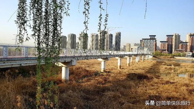大熊猫误入水电站论文范文:您家乡原来用于防洪的工程，现在成了旅游观光项目的有哪些？