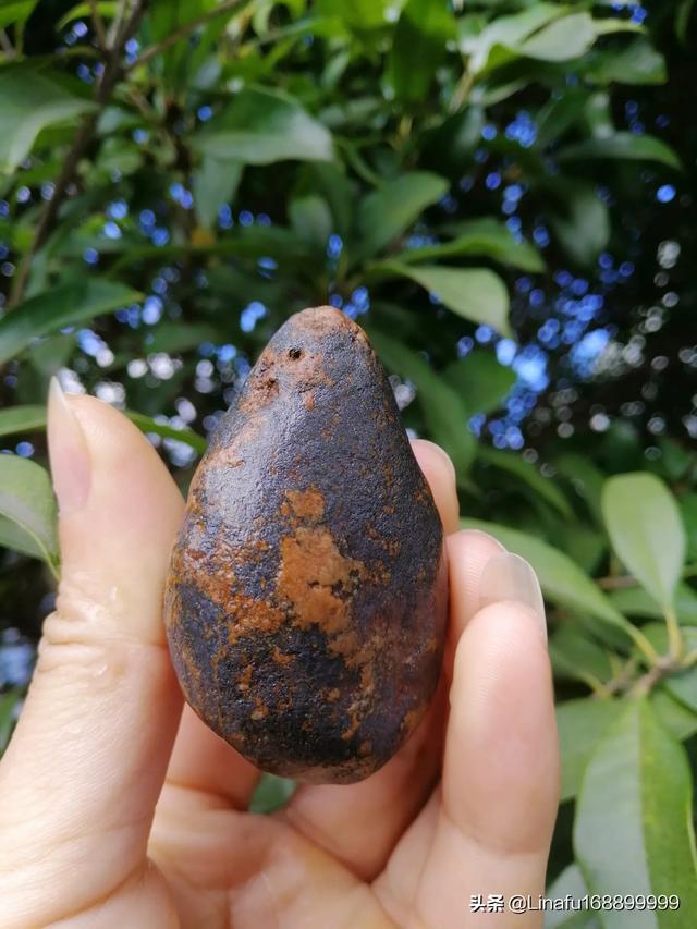 富康陨石:新落地陨石和古老陨石价值相同吗
