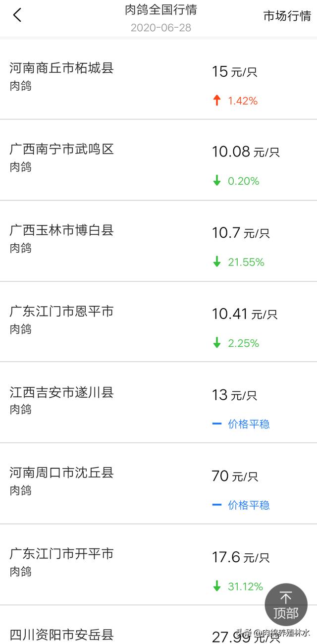 2020年鸟啦网最新批发商:2020年鸽子价格走势能回升吗？