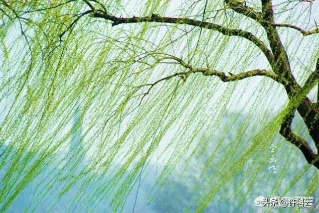 上联细雨蒙蒙春风摇曳杨柳枝滴滴泪下求下联