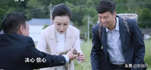 詹小楠:如何评价由王迅、朱墨主演的电视剧《花繁叶茂》？
