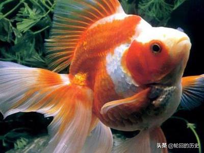 怎么做美团外卖骑手兼职 美团外卖骑手怎么加入 万网时代