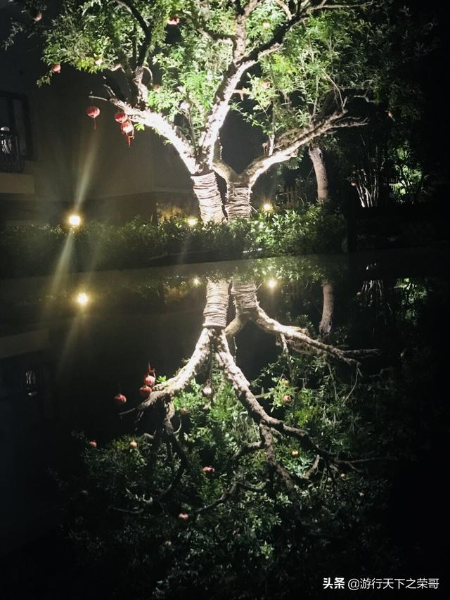 怎么做院子围墙又便宜又好看？插图33