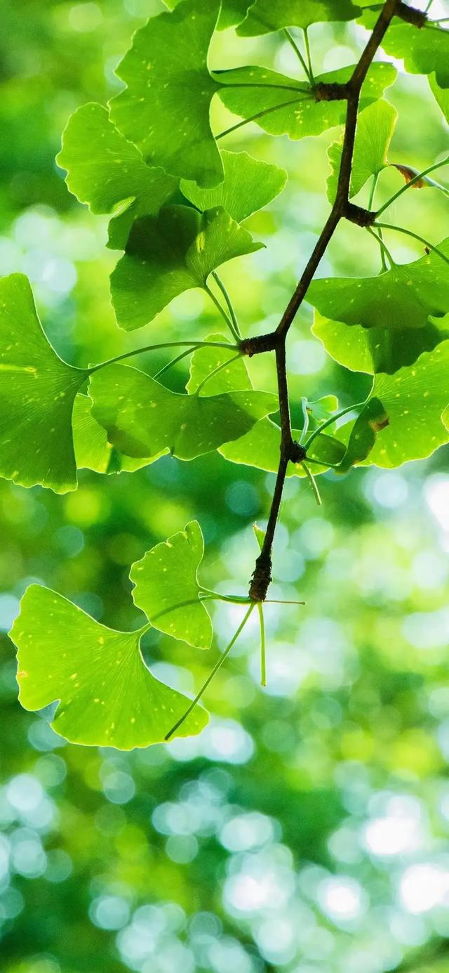 壁纸图片大全_在这种情况