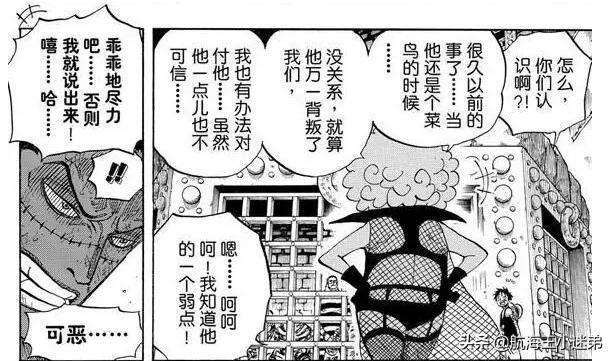 亚历山大王是男是女:《海贼王》中的克洛克达尔到底是男人还是女人？