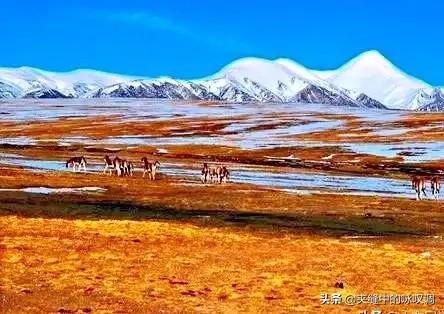 世界十大禁地进入必死无疑，黄雨蒙去可可西里无人区真的一点儿不害怕吗