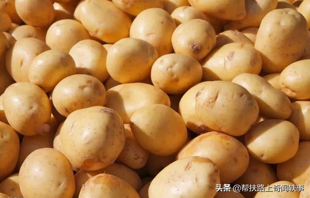 市面上的土豆越来越大，究竟和膨大剂有没有关系？你会吃吗？插图1