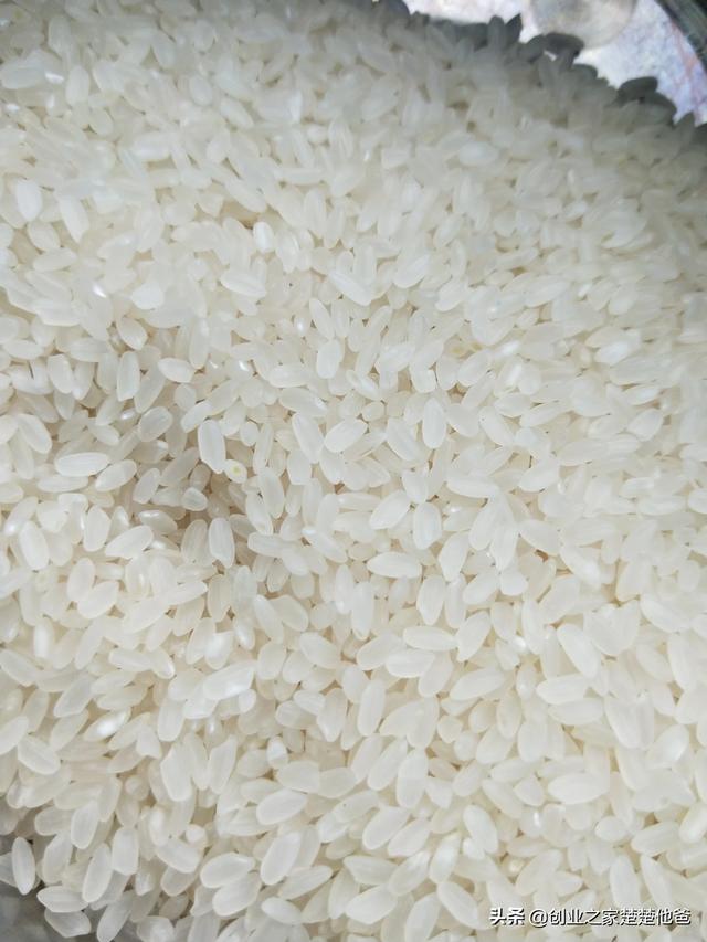 秋田蕗种植技术:在农村种植水稻，哪个品种产量高，米饭又好吃？