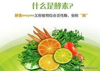 蓝天酵素菌:鱼缸加酵素影响消化菌吗？ 央广酵素价格表