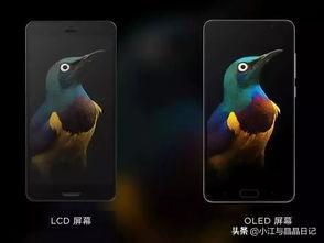 oled屏幕自发光为什么会漏液？漏的是什么液体？