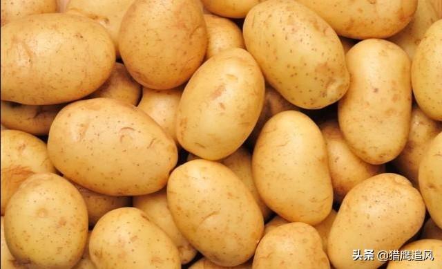 北京一商户把1斤土豆卖到6元，被罚10万，是不是有点太重了？