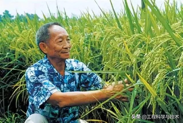 中国科学院院士排名:中国工程院院士和中国科学院院士有什么区别？