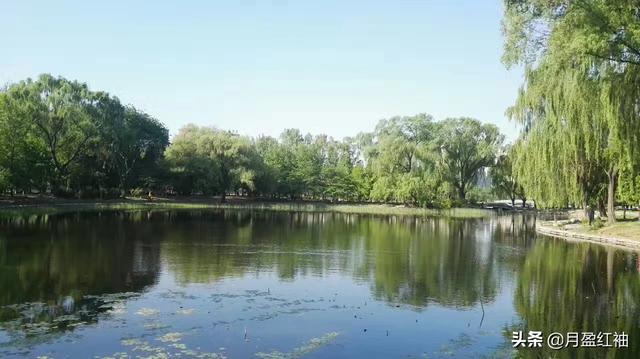 王维的作品:王维有哪些诗写出了层次？
