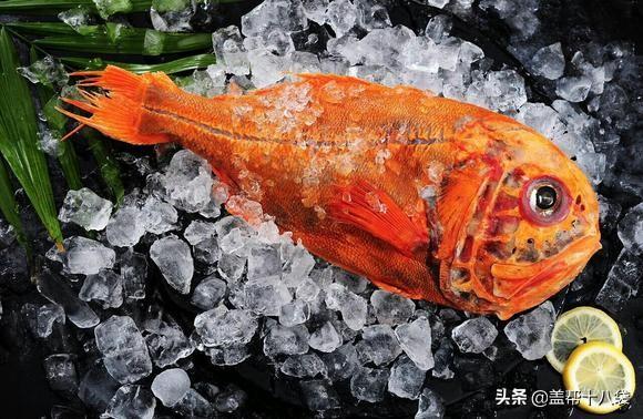 鲷:鲷鱼 请问在牡蛎排筏钓黑雕黄脚立等鱼，需要打窝吗？