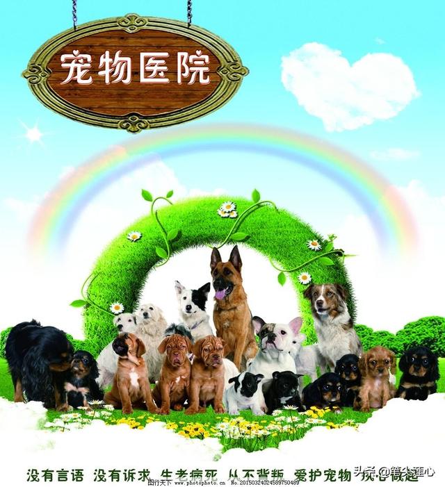 北京宠物医师大会2019:遇到宠物医生收费过于昂贵合理吗？