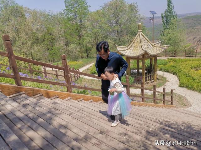 神兽终于归笼,本该觉得轻松,为何我会有一种的失落感,同感吗？