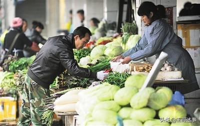 佛山蔬菜批发业：一场绿色的盛宴