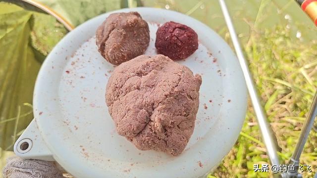 如何钓鲮鱼(如何钓鲮鱼避开罗非)