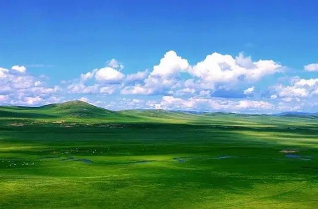 刘小光儿子:刘小光是非不断，为什么本山大叔还重用他？