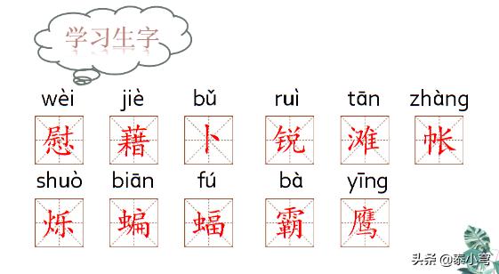藉卜锐滩帐烁蝙蝠鹰组什么词啊？:蝙可以组什么词 第1张