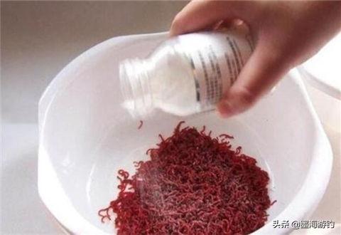 母红虫与公红虫图片:请教一下红虫肉夹馍拉饵如何制作？