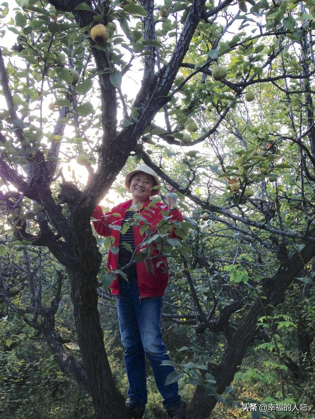 身上不喜欢佩戴任何东西，包括手表、戒指、玉等，这是一种什么心理？插图10