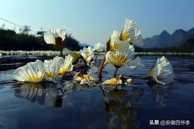 水性杨花的女人可以娶来做老婆吗？可是她非常漂亮,怎么办？