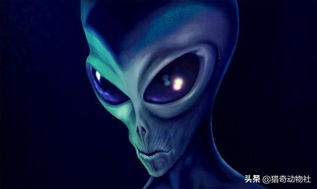 火星生命:火星上曾经有生命存在过吗？