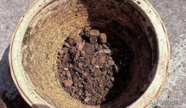 火山石的作用保健作用:深海火山能量石真的那么神奇吗？