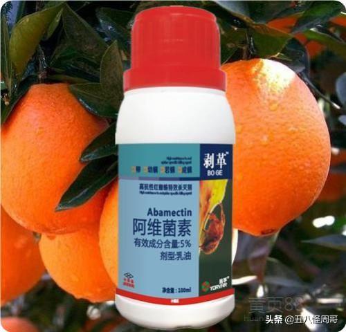 托拉菌素多少钱:用什么药杀红蜘蛛不伤柑橘果树嫩叶？