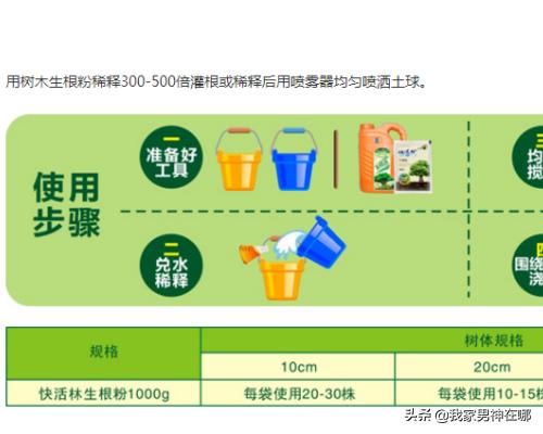 树苗怎么种,果树苗怎么种植成活率高？