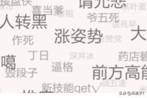 amphibians的中文意思:思密达的中文意思是什么？