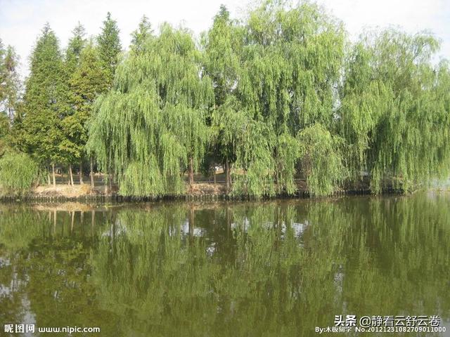 水映花面花映水,柳延河堤河延柳！推敲一下：延和沿哪个更好？