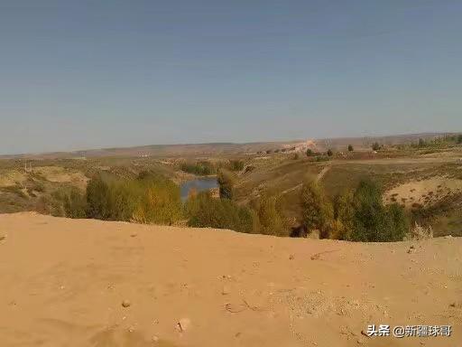 骆驼在撒哈拉沙漠雪中漫步:有没有什么超虐的短篇故事，分享一下可以吗？