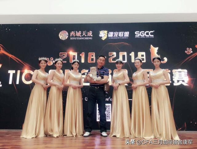 沉迷吸猫是什么意思:养猫为什么会上瘾？明明已经有两只了，为啥还想再养？