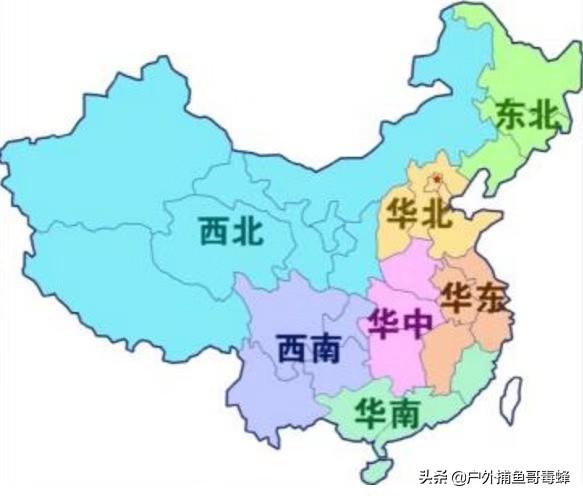 狗牙根草籽:有哪些适合西南地区种植的草种？ 狗牙根草籽多少钱一斤