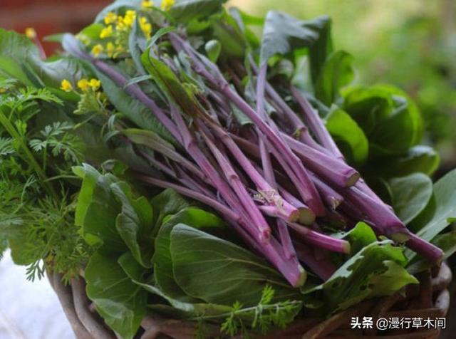 悟空问答 历史上产自我国本土的蔬菜有哪些 个回答