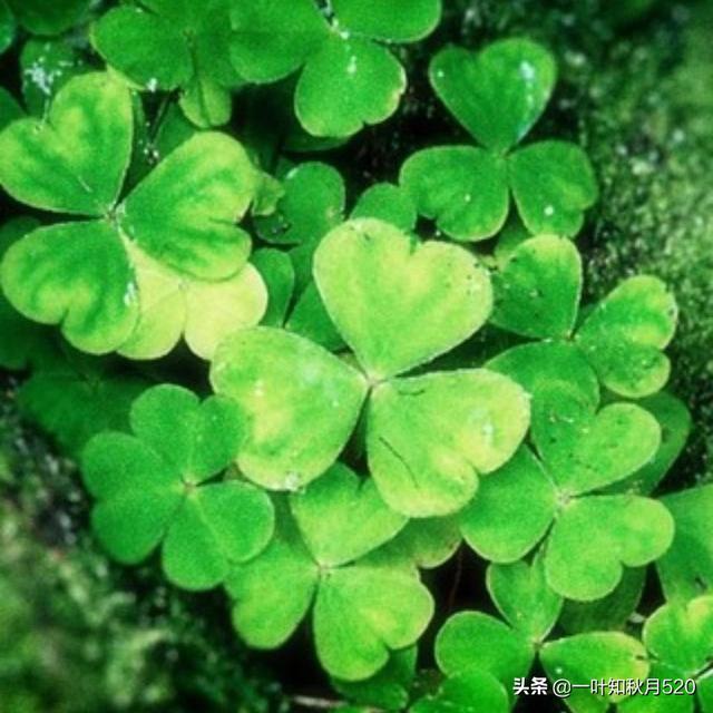 大家有没有觉得现在钱越来越难挣?说说现在都是做什么生意的？