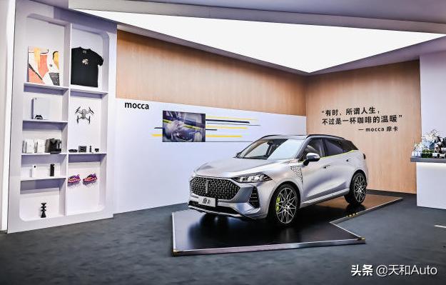 乔见猫销量:陈乔恩 乔见猫 能装门面能越野，坦克300城市版抢的是谁的饭碗？