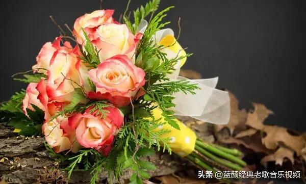西方的情人节送玫瑰?，我国的“七夕”情人节送什么花好呢？
